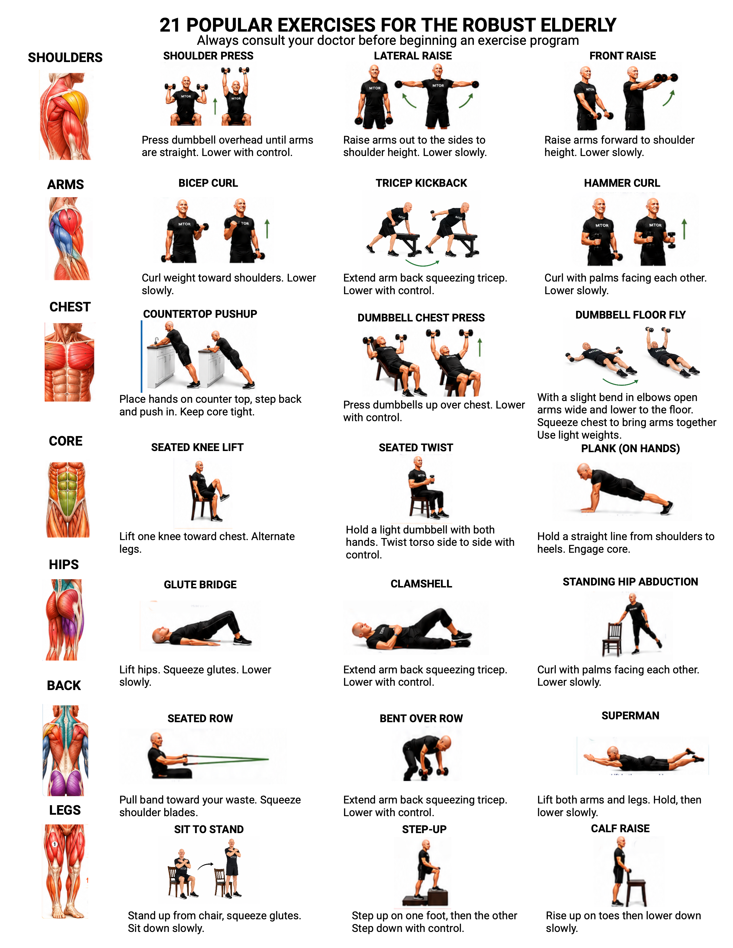 21 popular exercises for the robust elderly, organized by shoulders, arms, chest, core, hips, back, and legs.