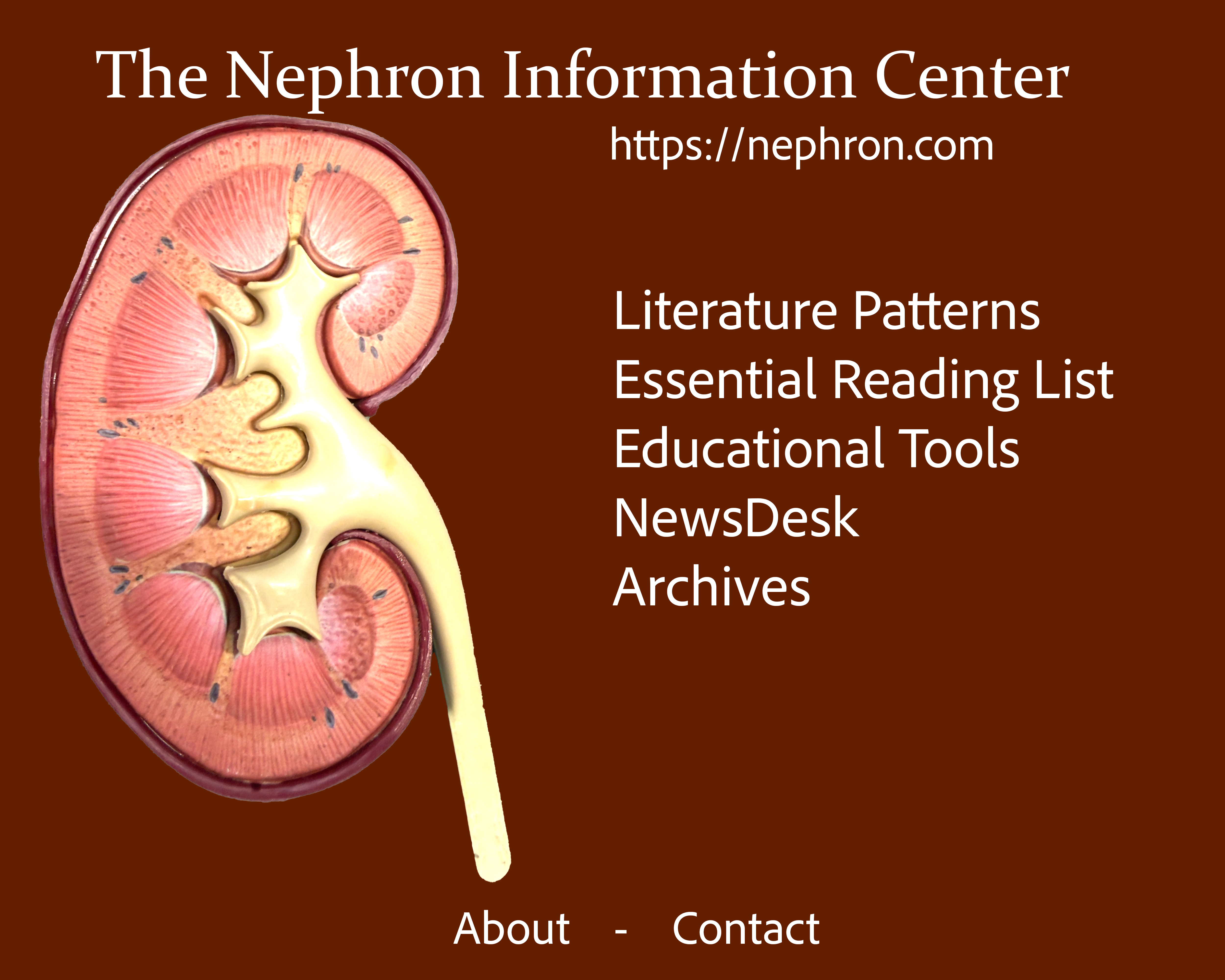 The Nephron Information Center: Literature Patterns, Essential Reading List, Educational Tools, NewsDesk, Archives, About, and Contact.